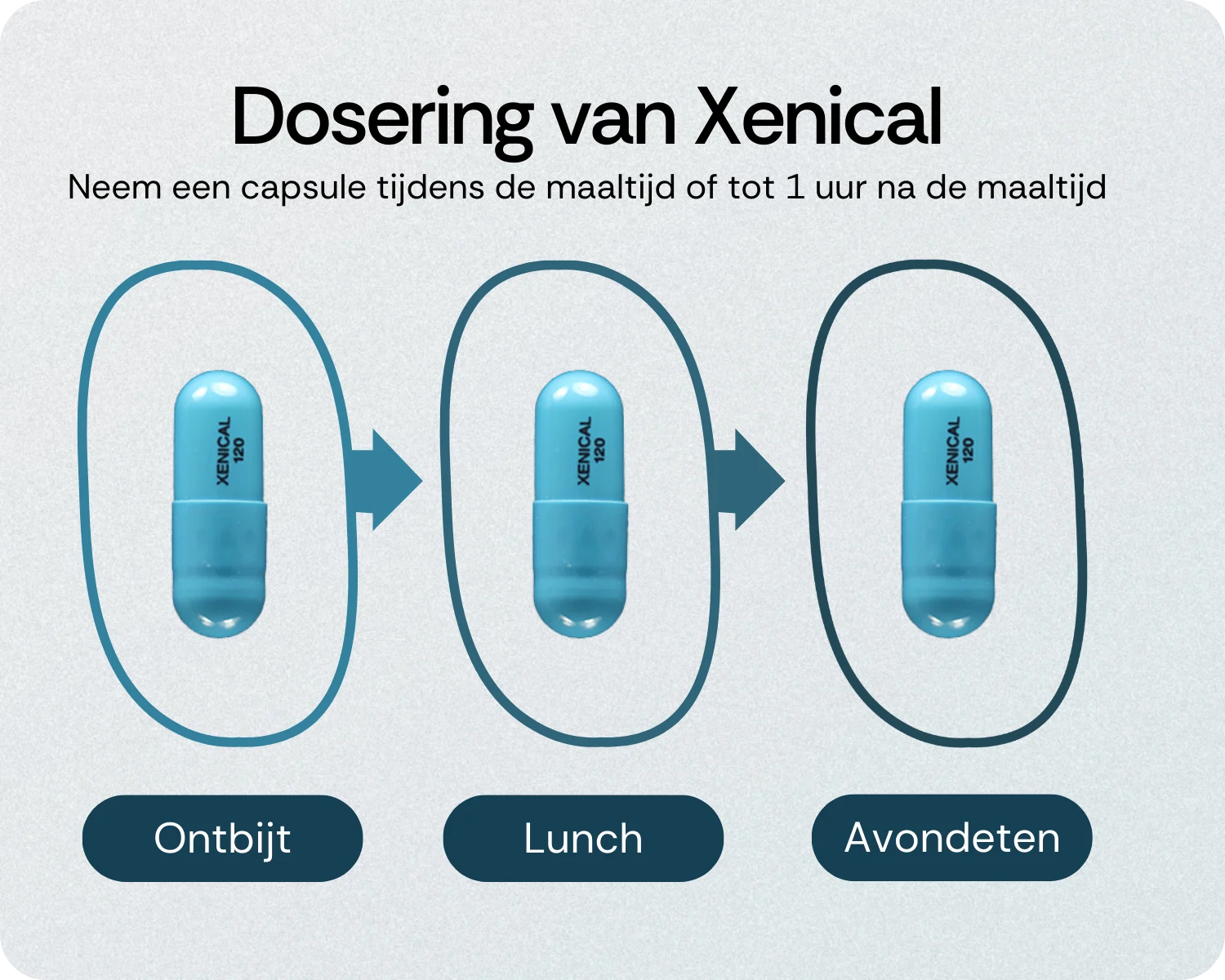 Dosering Xenical