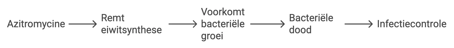 Hoe werkt Zithromax