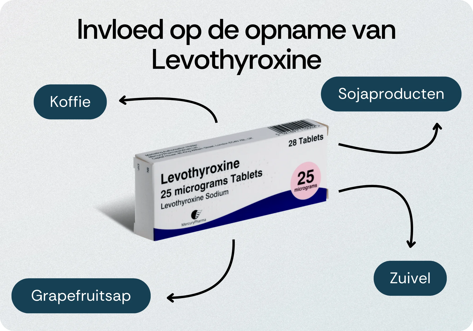 Opname van Levothyroxine