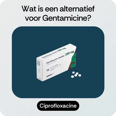 Alternatief Gentamicine
