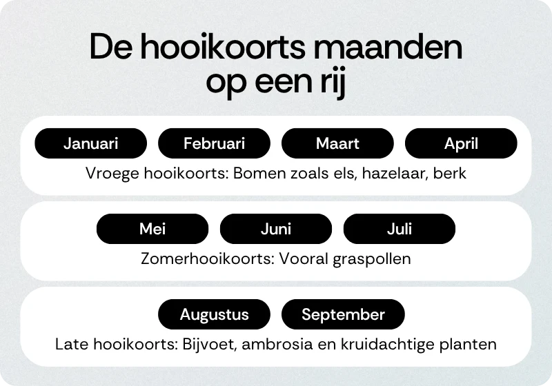 De hooikoorts maanden op een rij