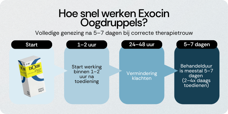 Hoe snel werken Exocin Oogdruppels