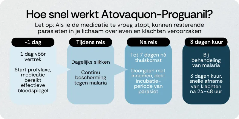 Hoe snel werkt Atovaquon-Proguanil