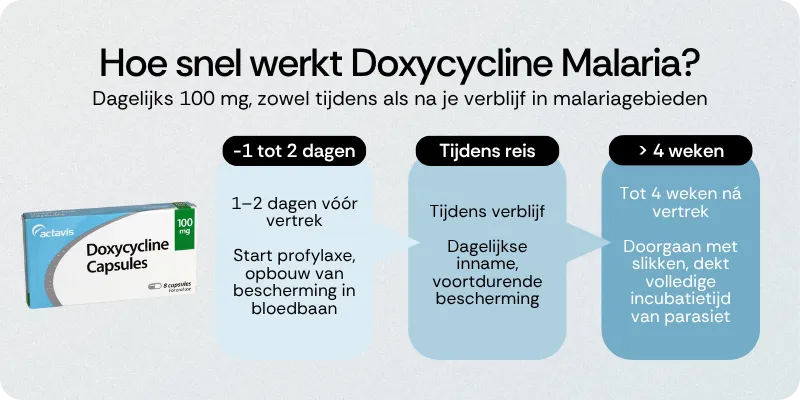 Hoe snel werkt Doxycycline Malaria