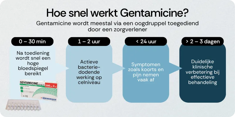 Hoe snel werkt Gentamicine
