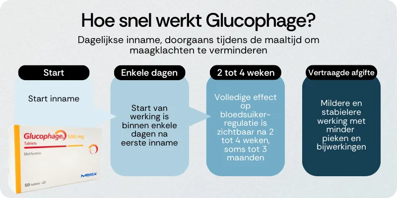 Hoe snel werkt Glucophage