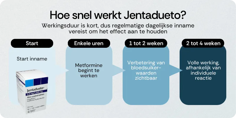 Hoe snel werkt Jentadueto
