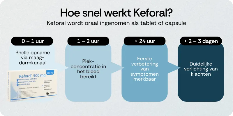 Hoe snel werkt Keforal