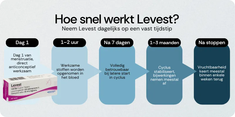 Hoe snel werkt Levest