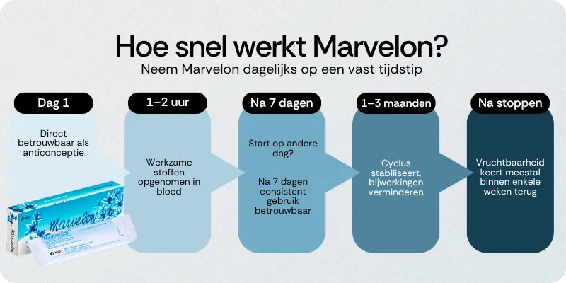 Hoe snel werkt Marvelon