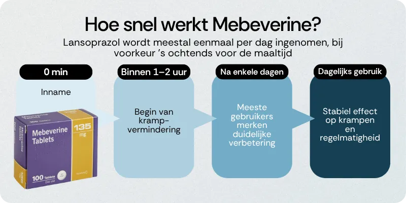 Hoe snel werkt Mebeverine