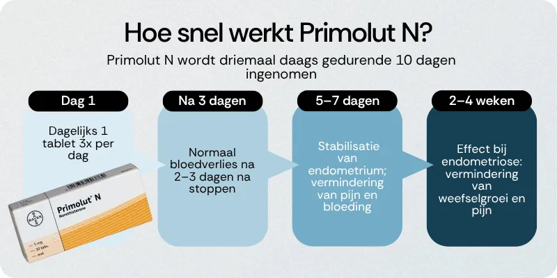 Hoe snel werkt Primolut N