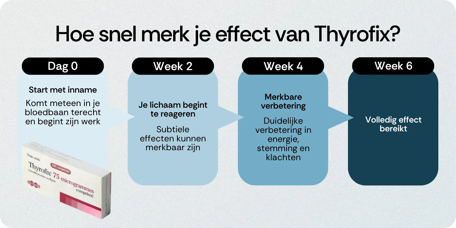 Hoe snel werkt Thyrofix