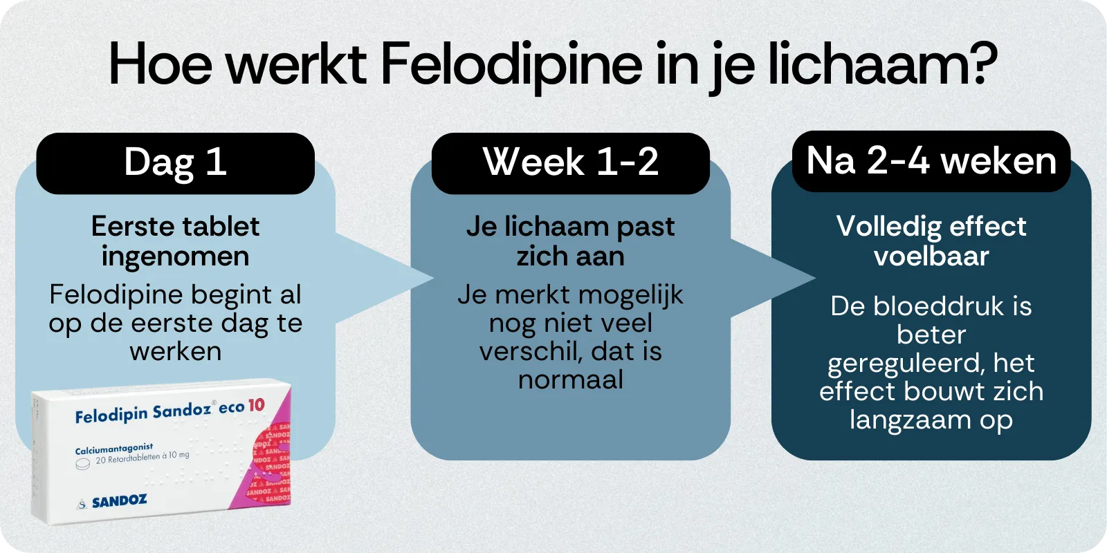 Hoe werkt Felodipine in je lichaam