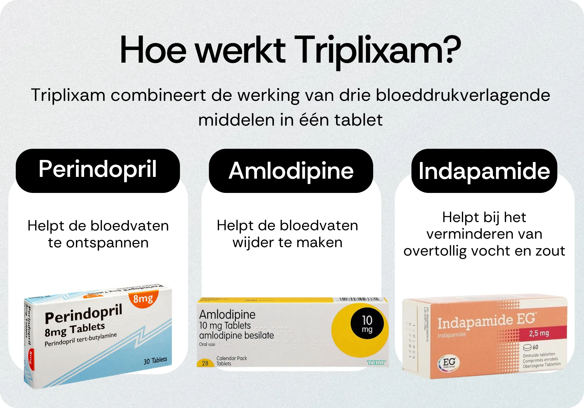 Hoe werkt Triplixam