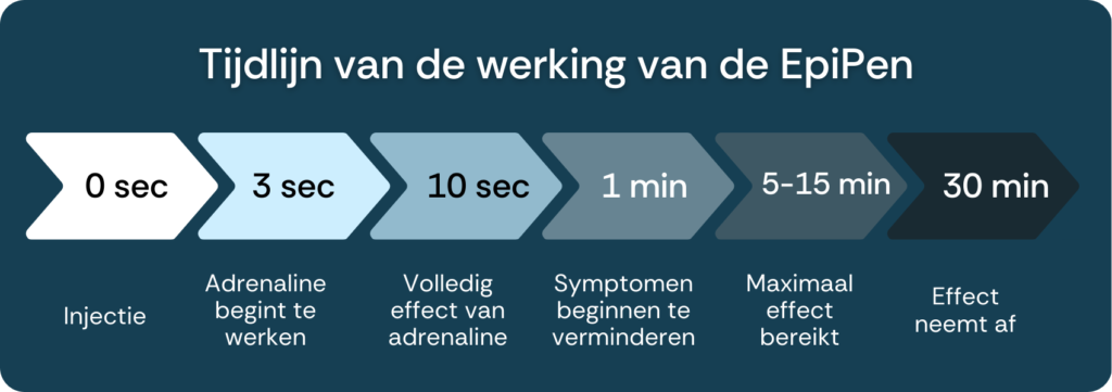 Tijdlijn van de werking van de EpiPen