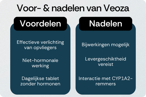 Veoza voordelen nadelen