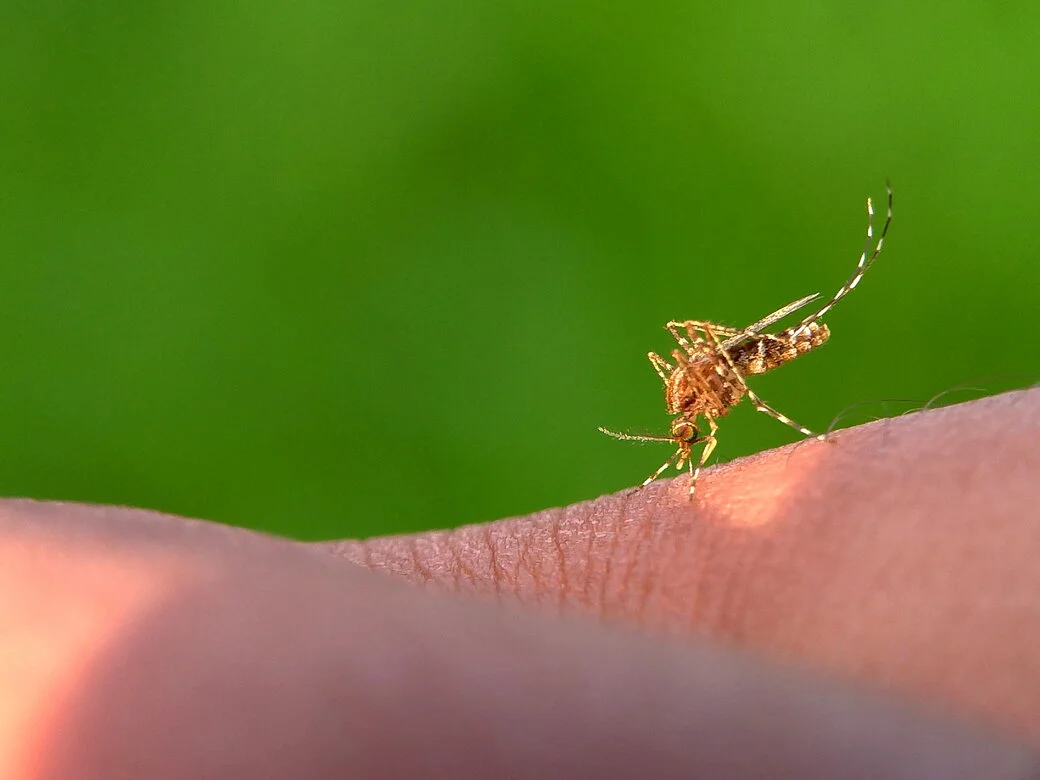Bijwerkingen Doxycycline Malaria