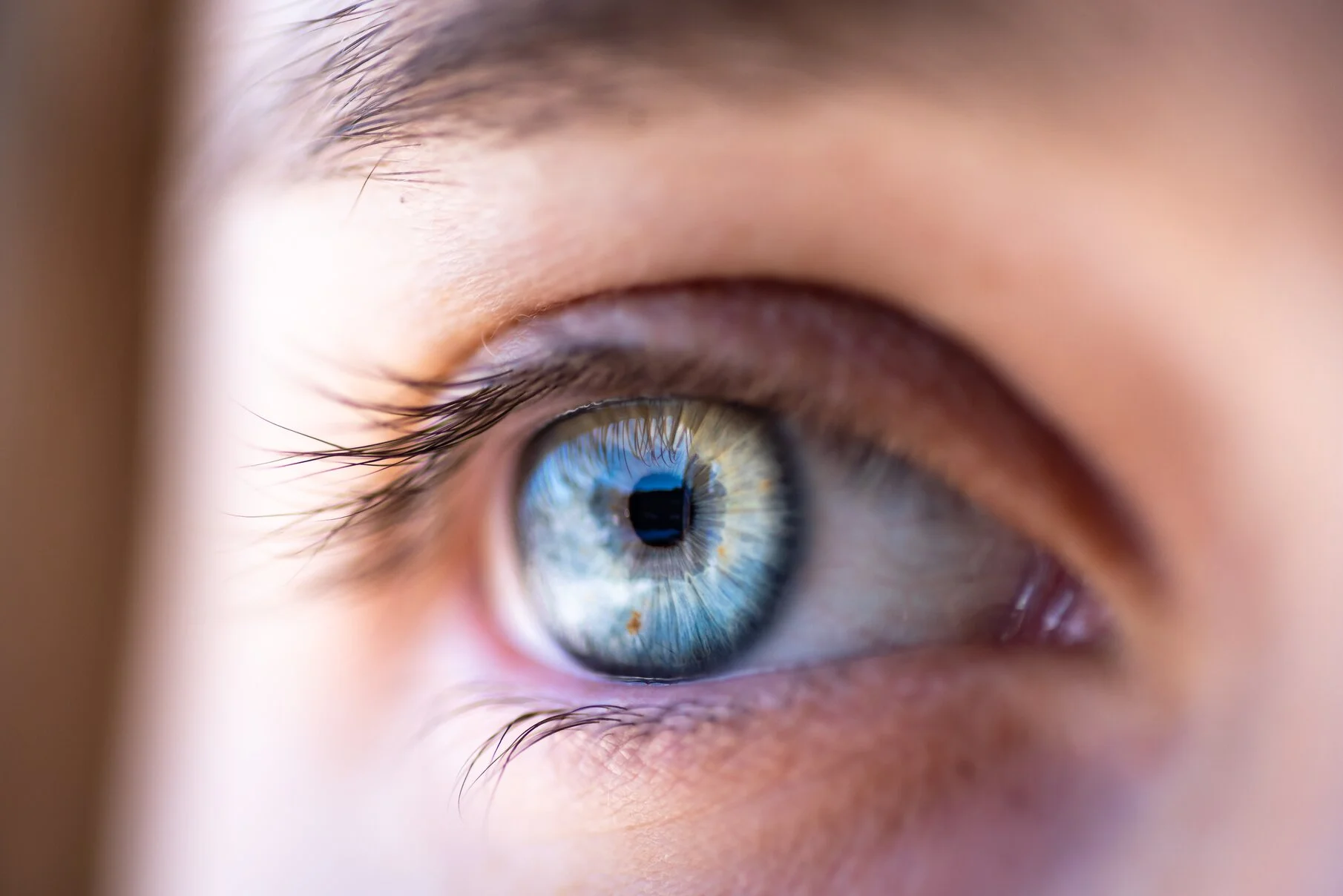 Bijwerkingen Sofradex