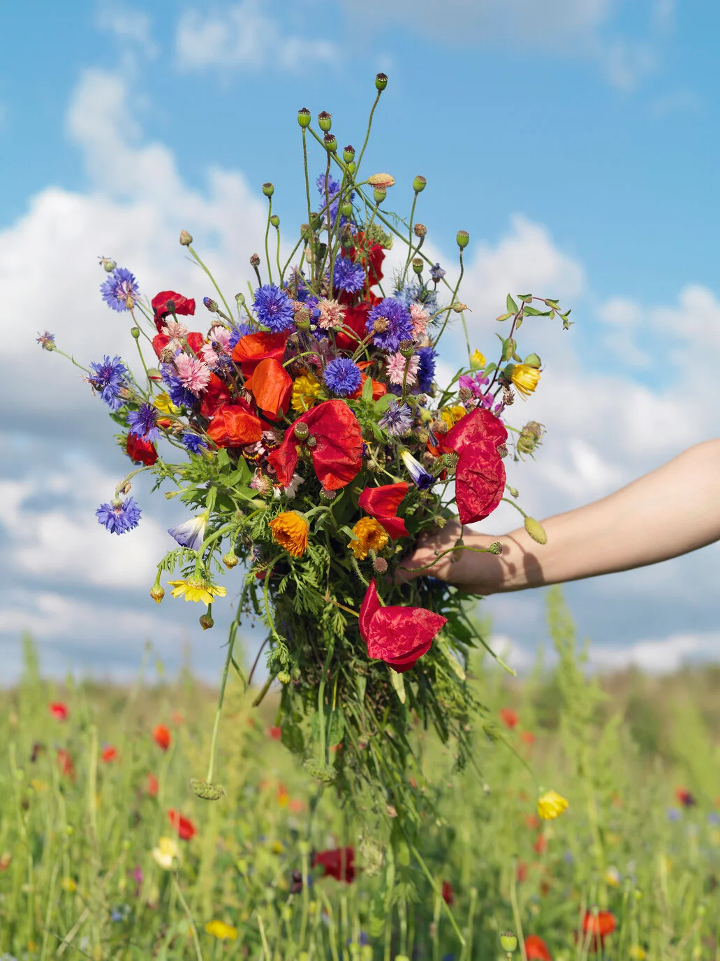Bijwerkingen Telfast