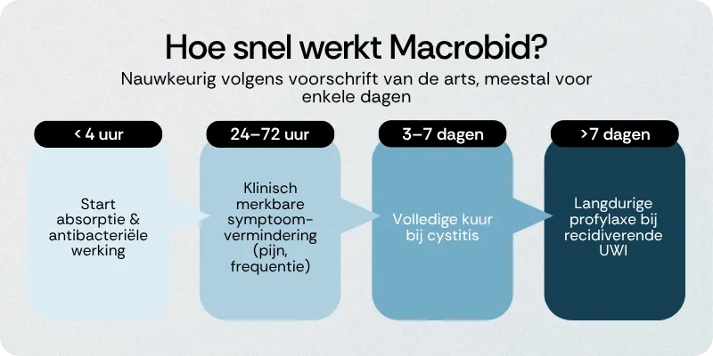Hoe snel werkt Macrobid