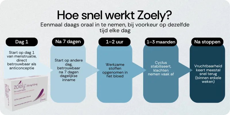 Hoe snel werkt Zoely