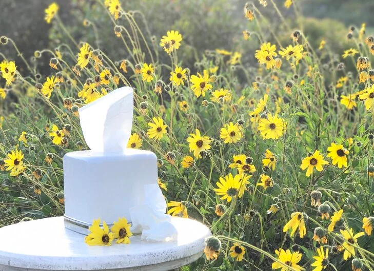 Bijwerkingen Fluticason Neusspray