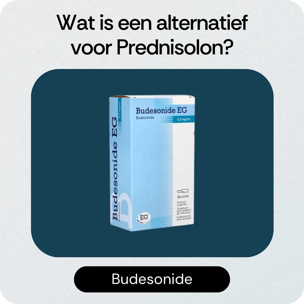 Alternatief Prednisolon Budesonide