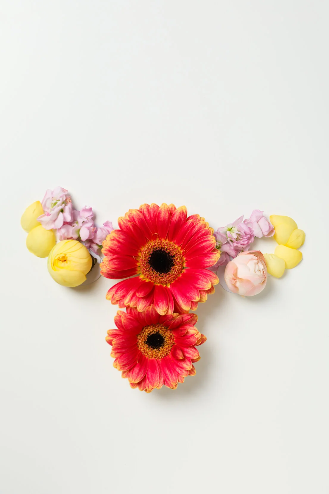 Hoe werkt Orgametril