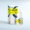 Exocin kopen