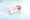 Prednisolon kopen