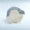 Salflutine kopen