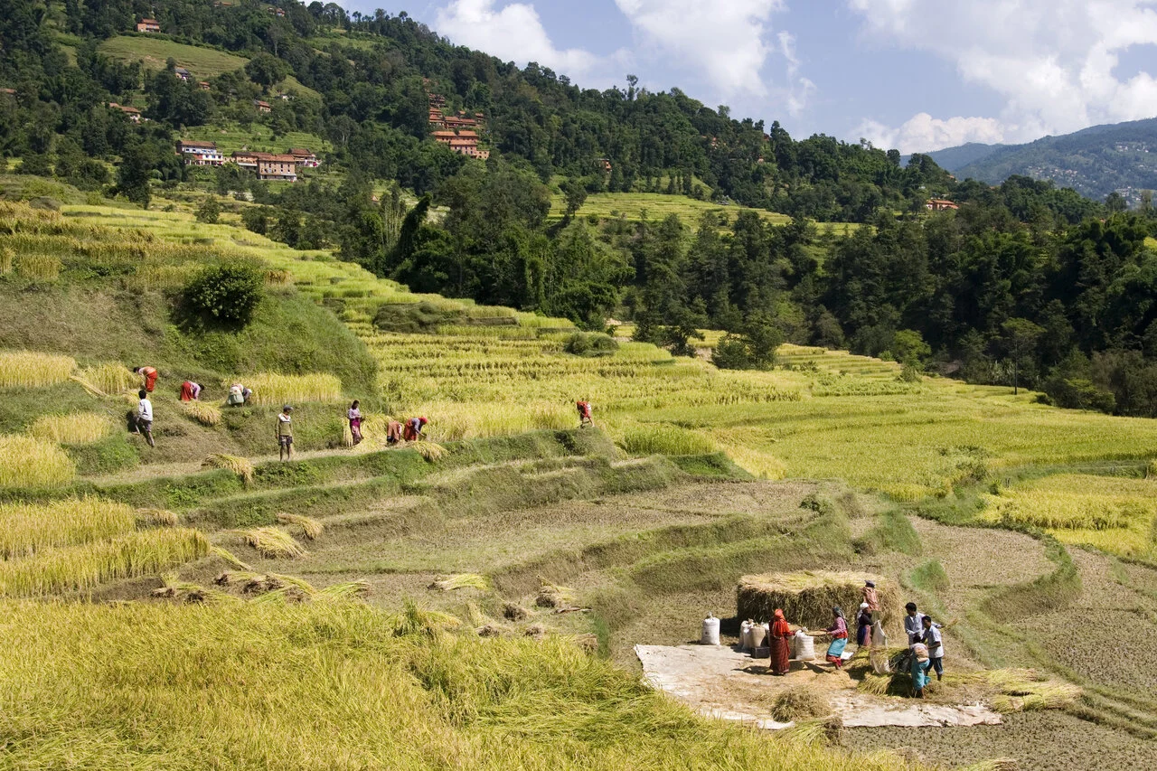 Malariapillen voor Nepal