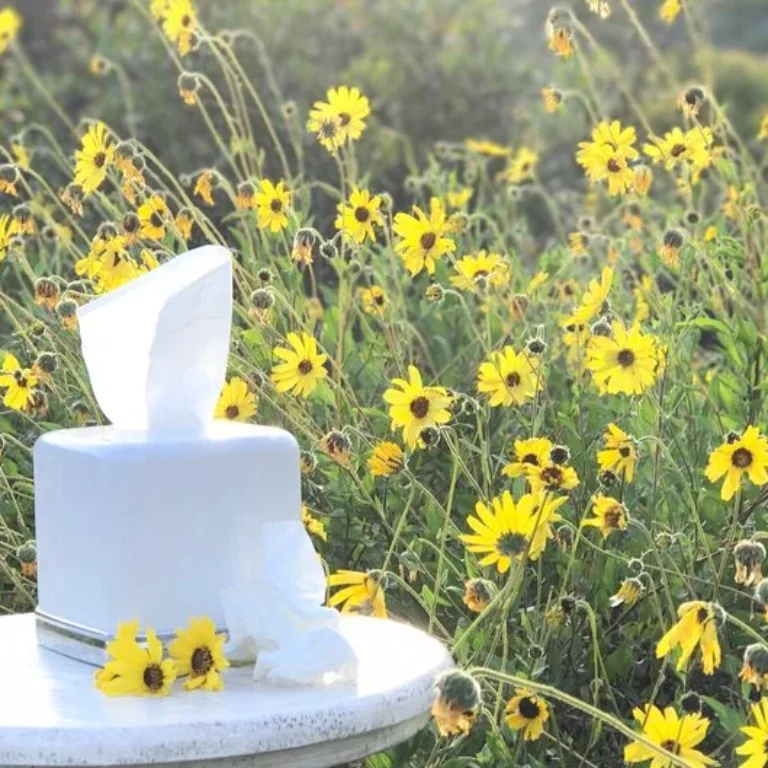 Bijwerkingen Fluticason Neusspray