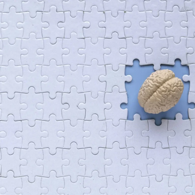 Hoe werkt Nemdatine?