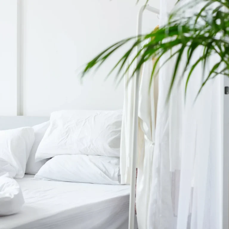 Hoe werkt Primperan zetpil