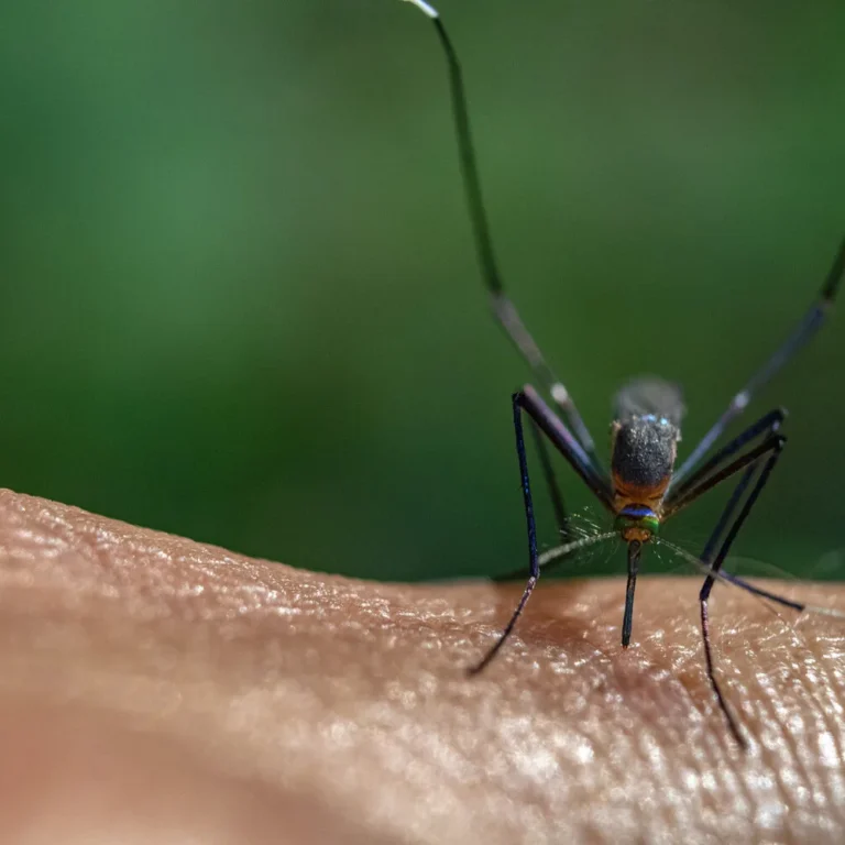 Malariapillen voor Cambodja