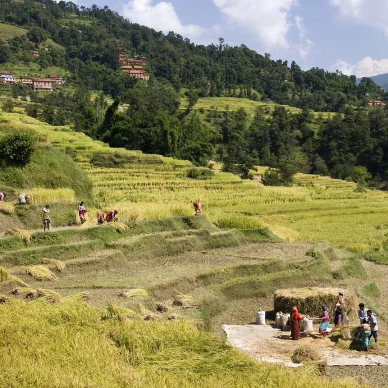 Malariapillen voor Nepal