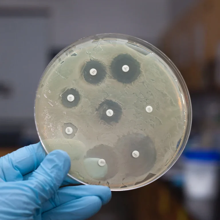 Voordelen Azitromycine